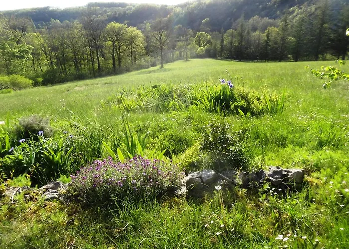 Semesterbostad Coeur De Lot Soucirac